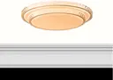 Light Fixture