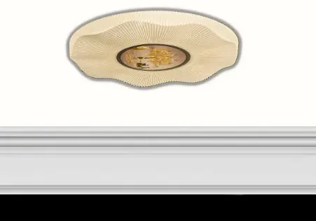 Light Fixture