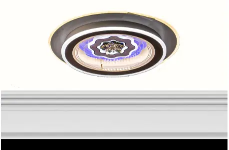 Light Fixture C8219-2
